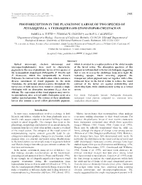 Photoreception in the Planktonic Larvae of Two Species of Pullosquilla, a Lysiosquilloid Stomatopod Crustacean