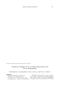 Simultaneous Multiple Nests of Calliope Hummingbird and Rufous Hummingbird