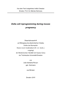 Delta Cell Reprogramming During Mouse Pregnancy