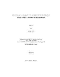 FUNCTIONAL ANALYSIS of the ARABIDOPSIS PHT4 FAMILY of INTRACELLULAR PHOSPHATE TRANSPORTERS a Thesis by BIWEI GUO Submitted to T