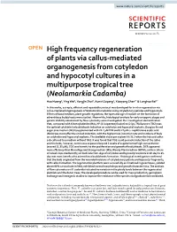 High Frequency Regeneration of Plants Via Callus-Mediated Organogenesis