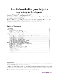 Insulin/Insulin-Like Growth Factor Signaling in C. Elegans* Coleen T
