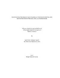 INVESTIGATING the ROLE of an SK CHANNEL ACTIVATOR on SURVIVAL and MOTOR FUNCTION in the SOD1-G93A, ALS MOUSE MODEL a Thesis Subm