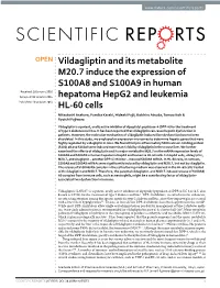 Vildagliptin and Its Metabolite M20.7 Induce the Expression of S100A8