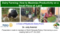 Dairy Farming: How to Maximize Productivity on a Small Piece of Land