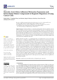 Sterculic Acid Alters Adhesion Molecules Expression and Extracellular Matrix Compounds to Regulate Migration of Lung Cancer Cells