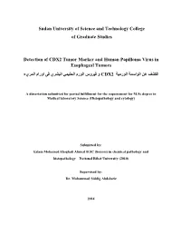 Sudan University of Science and Technology College of Graduate