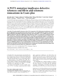 A POT1 Mutation Implicates Defective Telomere End Fill-In and Telomere Truncations in Coats Plus