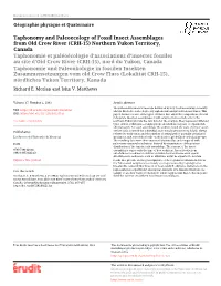Taphonomy and Paleoecology of Fossil Insect Assemblages