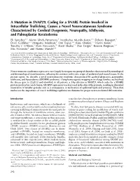 A Mutation in SNAP29, Coding for a SNARE Protein