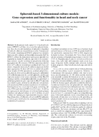Gene Expression and Functionality in Head and Neck Cancer