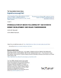 Dysregulation of Meox2 Following Wt1 Mutation in Kidney Development and Wilms Tumorigenesis
