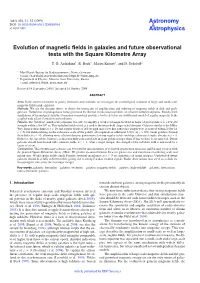 Evolution of Magnetic Fields in Galaxies and Future Observational