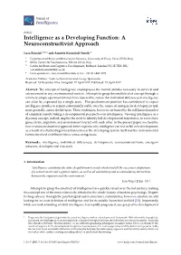 Intelligence As a Developing Function: a Neuroconstructivist Approach
