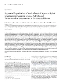 Segmental Organization of Vestibulospinal Inputs to Spinal Interneurons Mediating Crossed Activation of Thoracolumbar Motoneurons in the Neonatal Mouse