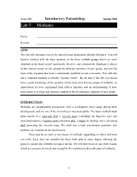Lab 5: Mollusks