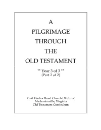 A Pilgrimage Through the Old Testament