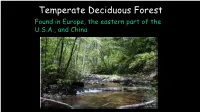 Temperate Deciduous Forest