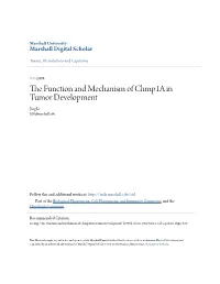 The Function and Mechanism of Chmp1a in Tumor Development