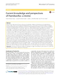 Current Knowledge and Perspectives of Paenibacillus: a Review Elliot Nicholas Grady1†, Jacqueline Macdonald2†, Linda Liu1, Alex Richman1 and Ze‑Chun Yuan1,2*