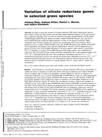 Variation of Nitrate Reductase Genes in Selected Grass Species