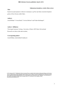 An Indicator Framework for Assessing the Technology Aspect Of