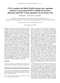 CNN1 Regulates the DKK1/Wnt/Β‑Catenin/C‑Myc Signaling Pathway by Activating TIMP2 to Inhibit the Invasion, Migration and EMT of Lung Squamous Cell Carcinoma Cells