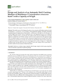 Design and Analysis of an Automatic Shell Cracking Machine of Metohuayo (“Caryodendron Orinocense Karst”) with a Capacity of 50 Kg/H
