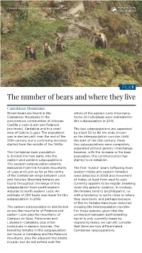The Number of Bears and Where They Live