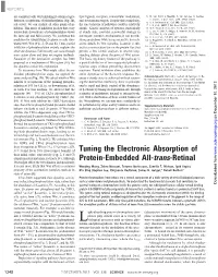 Tuning the Electronic Absorption of Protein-Embedded All-Trans-Retinal