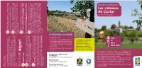 A Ccès P Oint De D É Part