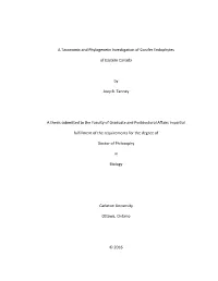 A Taxonomic and Phylogenetic Investigation of Conifer Endophytes
