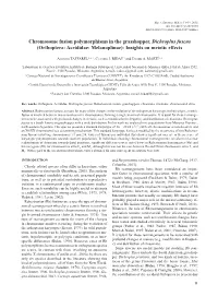 Chromosome Fusion Polymorphisms in the Grasshopper, Dichroplus Fuscus (Orthoptera: Acrididae: Melanoplinae): Insights on Meiotic Effects