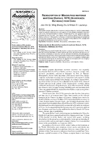 Jian-Xin Qi, Ming-Sheng Zhu & Wilson R. Lourenço