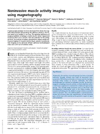 Noninvasive Muscle Activity Imaging Using Magnetography