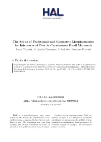 The Scope of Traditional and Geometric Morphometrics for Inferences of Diet in Carnivorous Fossil Mammals Sergio Tarquini, M