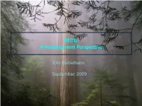 A Development Perspective