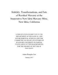 Chapter 2 Microbially Enhanced Dissolution of Hgs in an Acid Mine