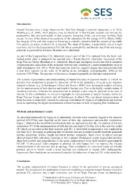 Modeling Natural Fractures Using Borehole and Outcrop Data