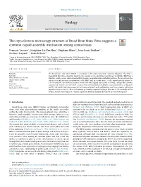 The Cryo-Electron Microscopy Structure of Broad Bean Stain Virus
