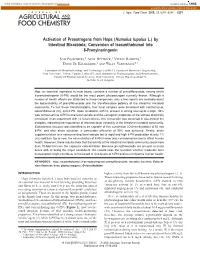 By Intestinal Microbiota; Conversion of Isoxanthohumol Into 8-Prenylnaringenin