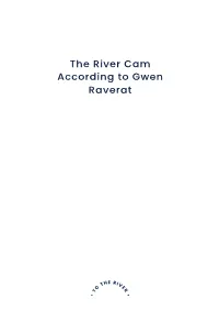 Raverat's River Interactive