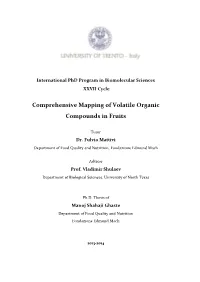 Comprehensive Mapping of Volatile Organic Compounds in Fruits