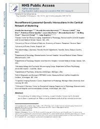 Neurofilament-Lysosomal Genetic Intersections in the Cortical Network of Stuttering