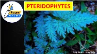 Pteridophytes