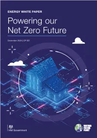 Energy White Paper: Powering Our Net Zero Future