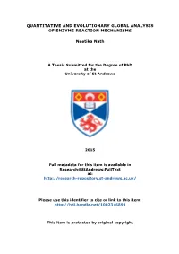 Neetika Nath Phd Thesis