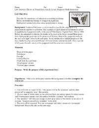 Peppered Moth Simulation