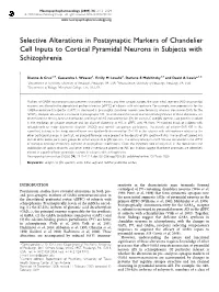 Selective Alterations in Postsynaptic Markers of Chandelier Cell Inputs to Cortical Pyramidal Neurons in Subjects with Schizophrenia