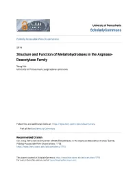 Structure and Function of Metallohydrolases in the Arginase- Deacetylase Family